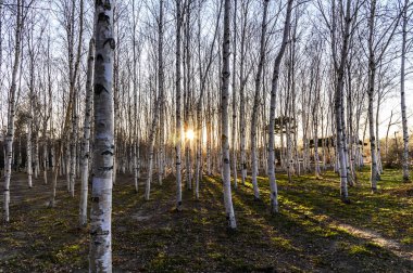 Nanhu Park 'ın gün batımı manzarası, Changchun, Çin