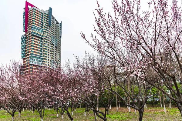 Paysage Urbain Changchun City Chine Printemps — Photo