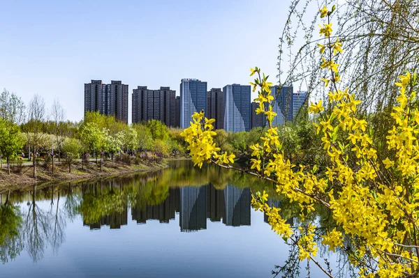 Wiosenny Krajobraz Changchun Park Chiny — Zdjęcie stockowe