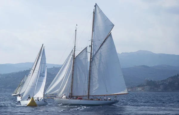 Classic yacht regatta — Stockfoto