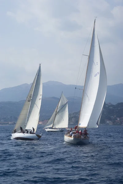 Regata di yacht classici — Foto Stock