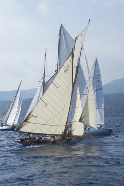 Classic yacht regatta — Stockfoto