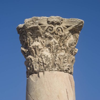 Taş sütun portre
