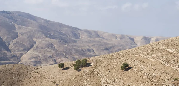 Jordan rift Vadisi