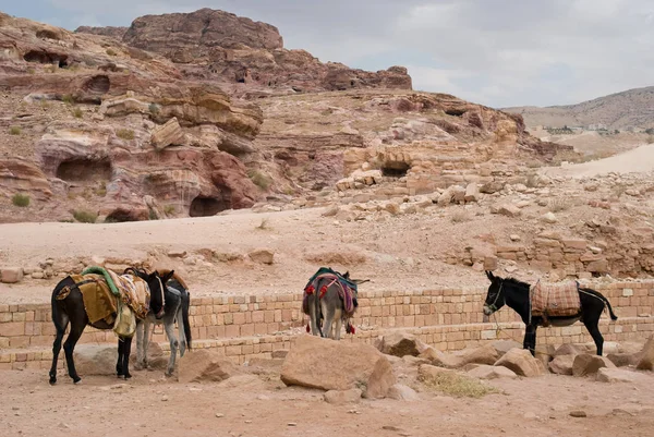 Rotsachtige heuvels en bergen. Archeologische site van Petra, Jordanië — Stockfoto