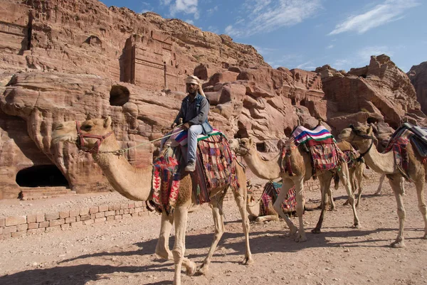 Kameel rijden, Petra, Jordanië — Stockfoto