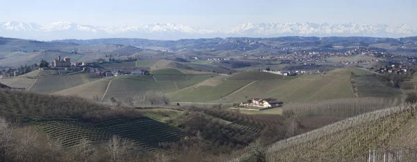 イタリア、ピエモンテ州のランゲの丘に農業景観 — ストック写真