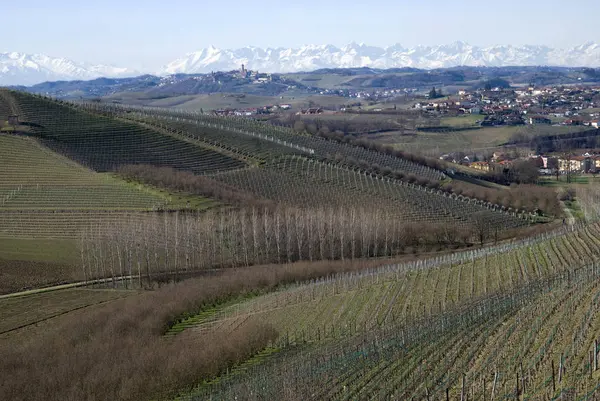 农业景观的朗格在意大利皮埃蒙特的山丘上 — 图库照片