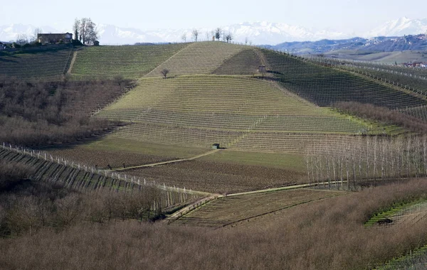 Paysage agricole sur les collines de Langhe dans le Piémont, Italie — Photo