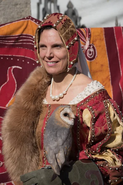 中世の祭で鷹狩り展示 — ストック写真