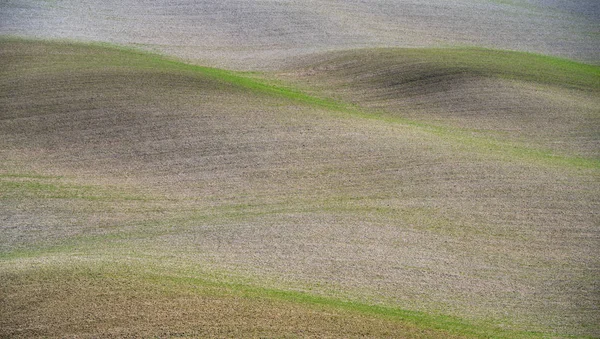 Paesaggio rurale in Toscana — Foto Stock