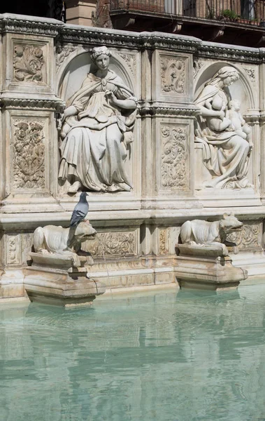 De fontein van de Fonte Gaia in Siena — Stockfoto