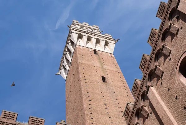 A torre Mangia, Siena, Itália — Fotografia de Stock