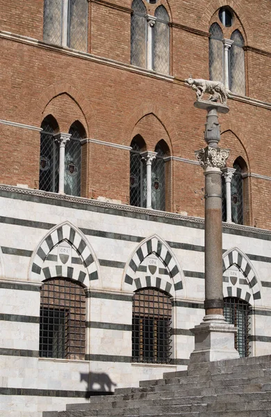Statue de loup, cathédrale de Sienne, Italie — Photo