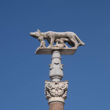 Dişi kurt heykeli, Siena Katedrali, İtalya