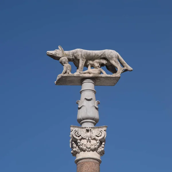 Ze wolf standbeeld, de kathedraal van Siena, Italië — Stockfoto