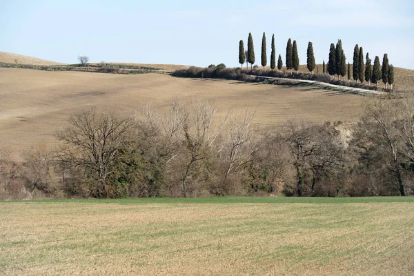 Rurale landschap in Toscane — Stockfoto