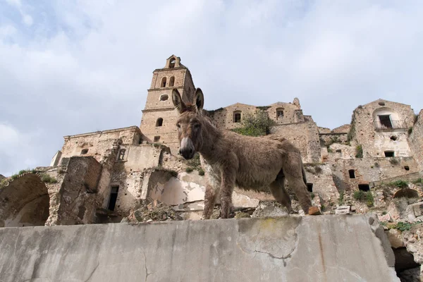 Kalıntıları Craco, İtalya — Stok fotoğraf