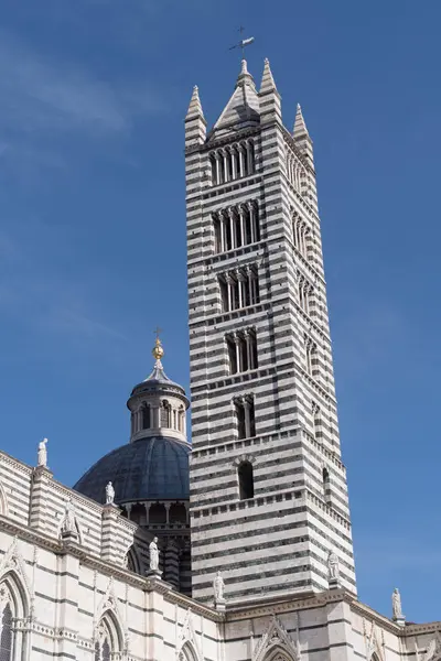 Catedral y Torre de Siena — Foto de Stock