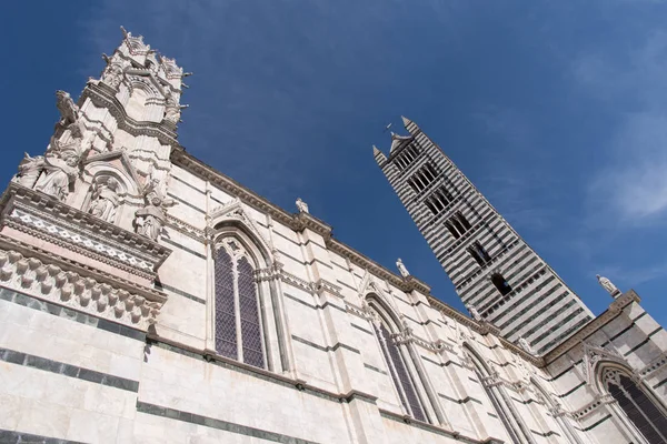 Catedral e Torre de Siena — Fotografia de Stock