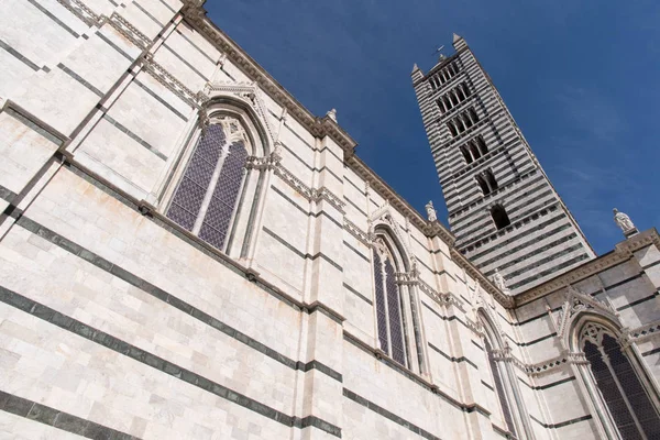 Sienas katedral och tornet — Stockfoto