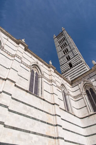 Sienas katedral och tornet — Stockfoto