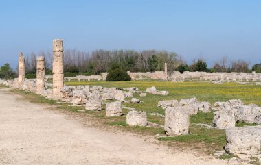 Paestum sit alanı, İtalya 