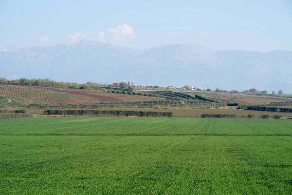 Paysage rural dans la région Calabre en Italie — Photo