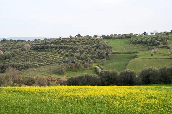 Rural landscape in Calabria, Italy — Stock Photo, Image