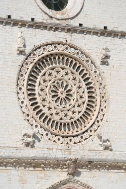 Close-Up bir gül pencere, Bazilikası St Francis, Assisi, İtalya