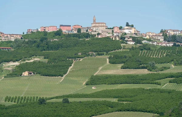 Norte da Itália, região do Piemonte, Viticultura na aldeia de D — Fotografia de Stock