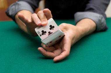 İskambil, yakın çekim