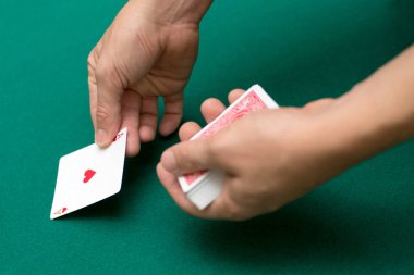 İskambil, yakın çekim