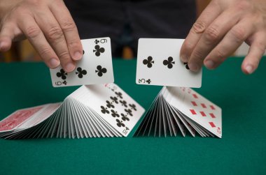 İskambil, yakın çekim