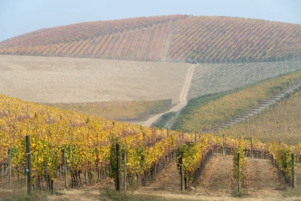 Üzüm ve Langhe, Kuzey İtalya tepelerde sonbahar manzara — Stok fotoğraf