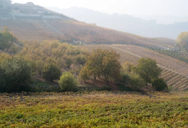 Paisagem outonal de vinhas e colinas em Langhe, Norte da Itália — Fotografia de Stock