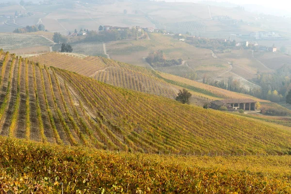 덩굴과 Langhe, 북부 이탈리아에 있는 언덕의 오색 풍경 — 스톡 사진