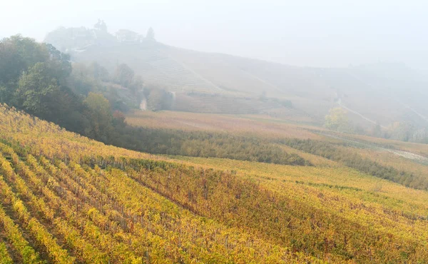 Paisaje otoñal de viñas y colinas en Langhe, norte de Italia —  Fotos de Stock