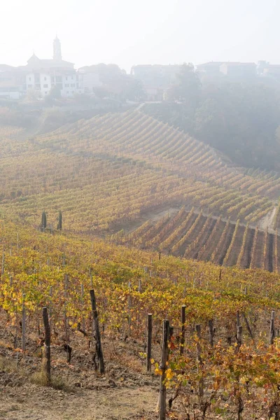 Paisagem outonal de vinhas e colinas em Langhe, Norte da Itália — Fotografia de Stock