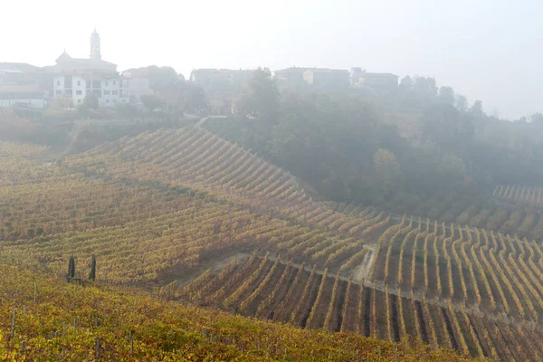 Paisagem outonal de vinhas e colinas em Langhe, Norte da Itália — Fotografia de Stock