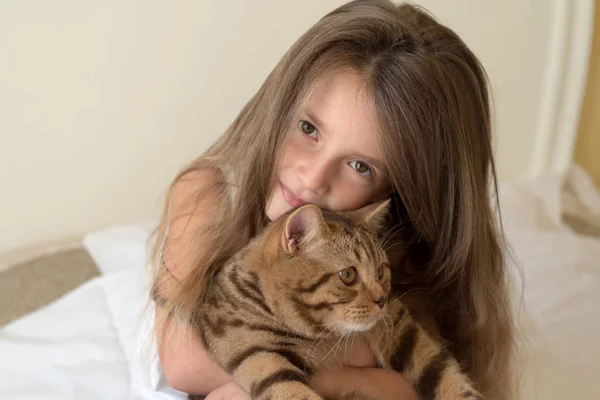 Портрет маленькой девочки, держащей своего кота — стоковое фото