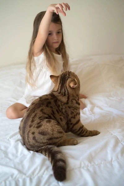 Child playing with cat — Stock Photo, Image