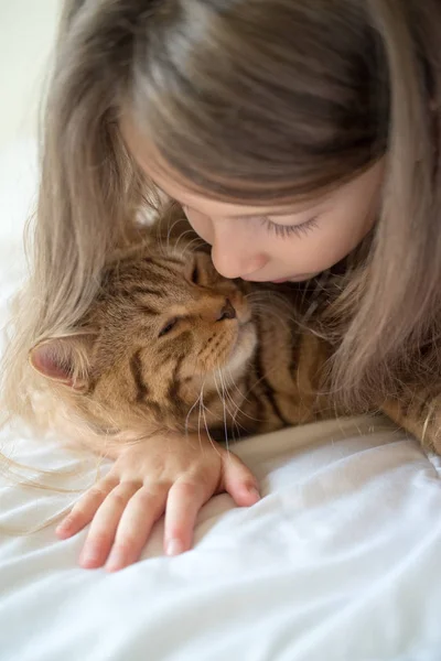 Ребенок играет с котом на кровати — стоковое фото