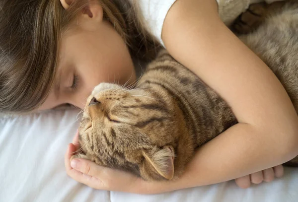 Ребенок спит с котом — стоковое фото