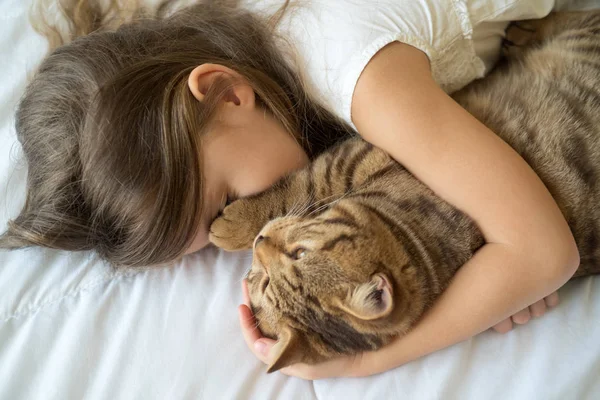 Young girl stroking cat lying on bed — Stock Photo, Image