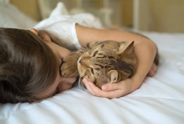 아이 침대에 고양이 함께 연주 — 스톡 사진