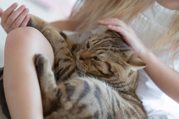 Enfant jouant avec chat — Photo