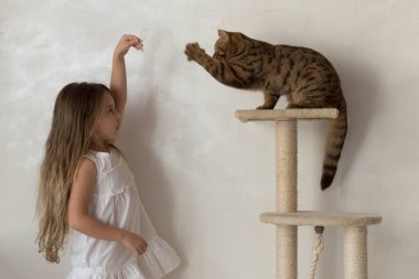 kedi ile oynayan çocuk