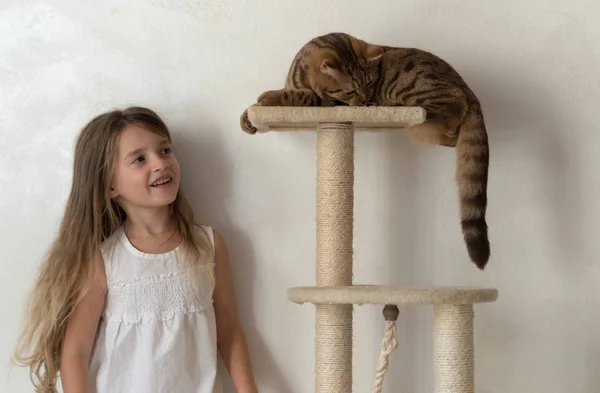 Gyermek játszó macska — Stock Fotó