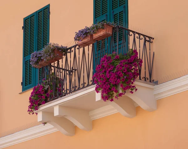 Balcony with flowers — Stock Photo, Image